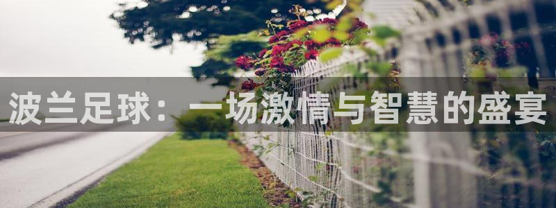 波兰足球：一场激情与智慧的盛宴