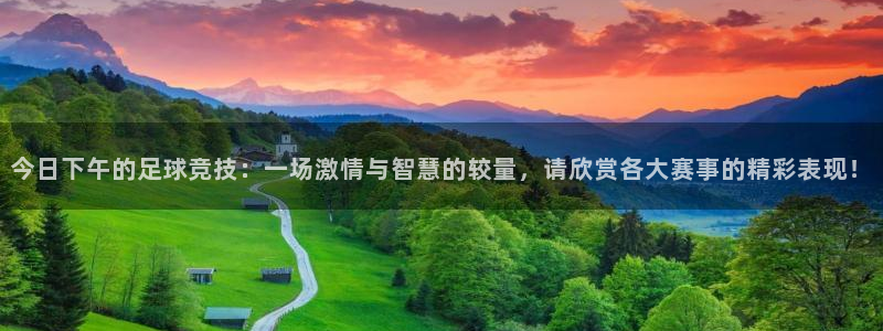 今日下午的足球竞技：一场激情与智慧的较量，请欣赏各大赛事的精彩表现！