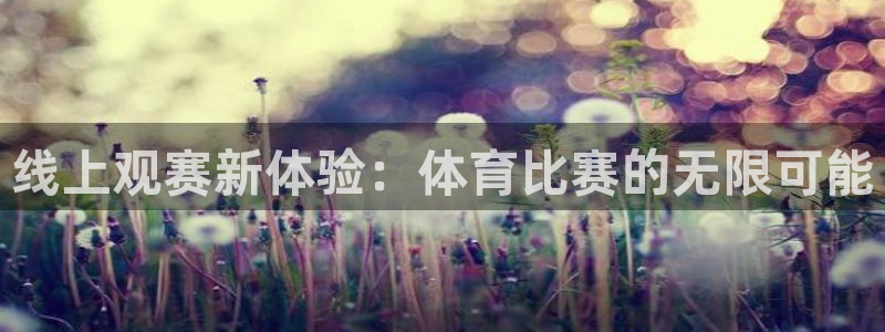 线上观赛新体验：体育比赛的无限可能