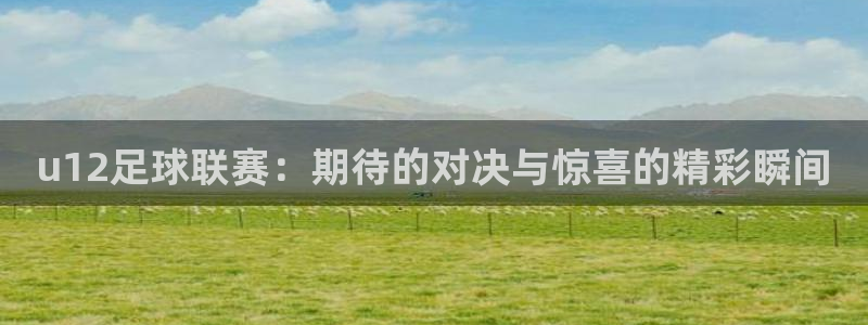 u12足球联赛：期待的对决与惊喜的精彩瞬间