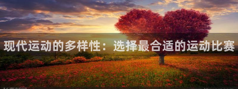 现代运动的多样性：选择最合适的运动比赛