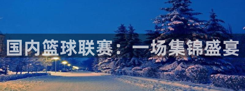 国内篮球联赛：一场集锦盛宴