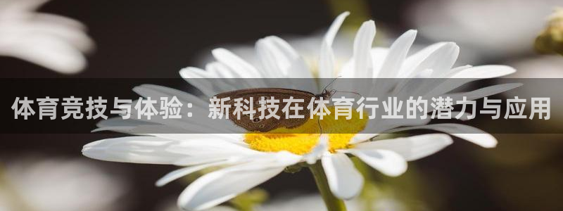 体育竞技与体验：新科技在体育行业的潜力与应用