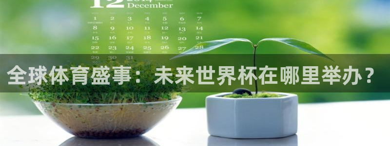 全球体育盛事：未来世界杯在哪里举办？