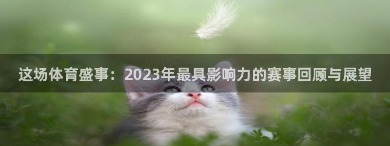 这场体育盛事：2023年最具影响力的赛事回顾与展望