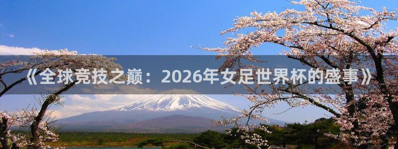 《全球竞技之巅：2026年女足世界杯的盛事》