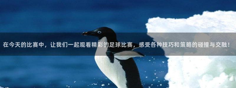 在今天的比赛中，让我们一起观看精彩的足球比赛，感受各种技巧和策略的碰撞与交融！