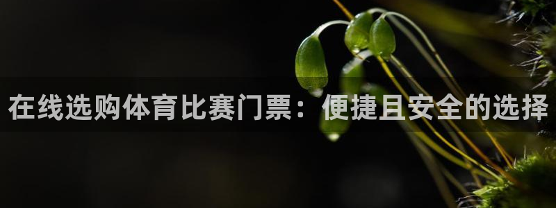 在线选购体育比赛门票：便捷且安全的选择