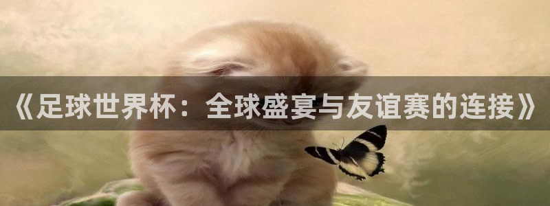 《足球世界杯：全球盛宴与友谊赛的连接》