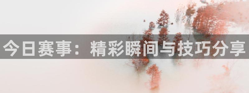 今日赛事：精彩瞬间与技巧分享
