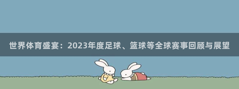 世界体育盛宴：2023年度足球、篮球等全球赛事回顾与展望