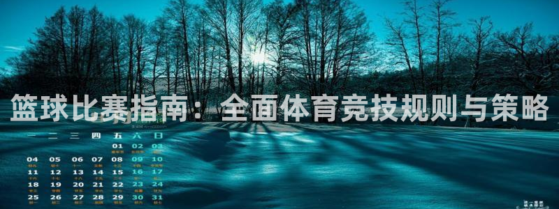 篮球比赛指南：全面体育竞技规则与策略