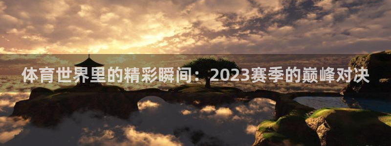 体育世界里的精彩瞬间：2023赛季的巅峰对决