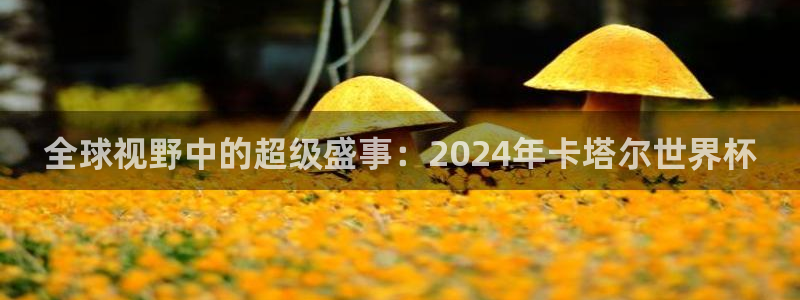 全球视野中的超级盛事：2024年卡塔尔世界杯