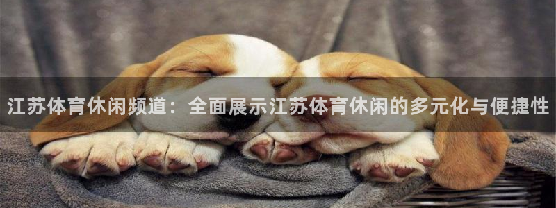 江苏体育休闲频道：全面展示江苏体育休闲的多元化与便捷性