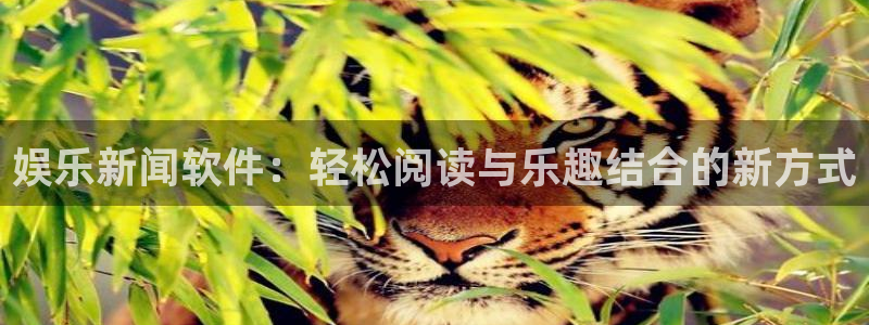 娱乐新闻软件：轻松阅读与乐趣结合的新方式