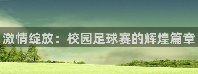 激情绽放：校园足球赛的辉煌篇章