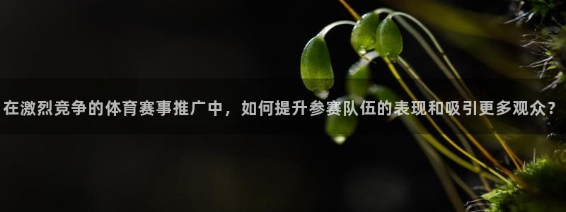 在激烈竞争的体育赛事推广中，如何提升参赛队伍的表现和吸引更多观众？
